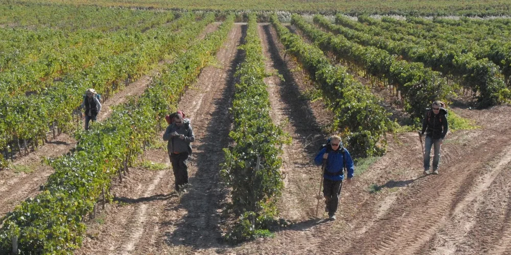 Photo du film : The Way, La route ensemble