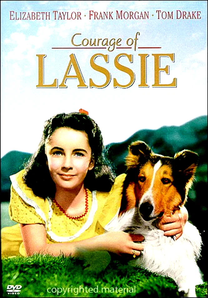 Affiche du film : Le courage de lassie