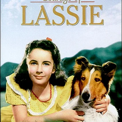 Miniature photo du film : Le courage de lassie