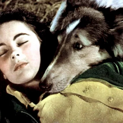 Miniature photo du film : Le courage de lassie