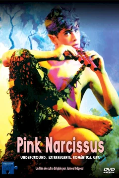 Affiche du film Pink Narcissus