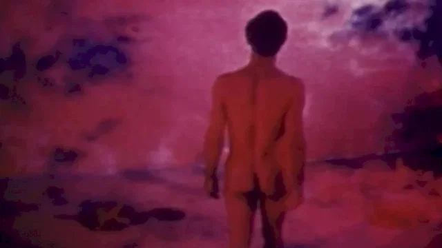 Photo 3 du film : Pink Narcissus
