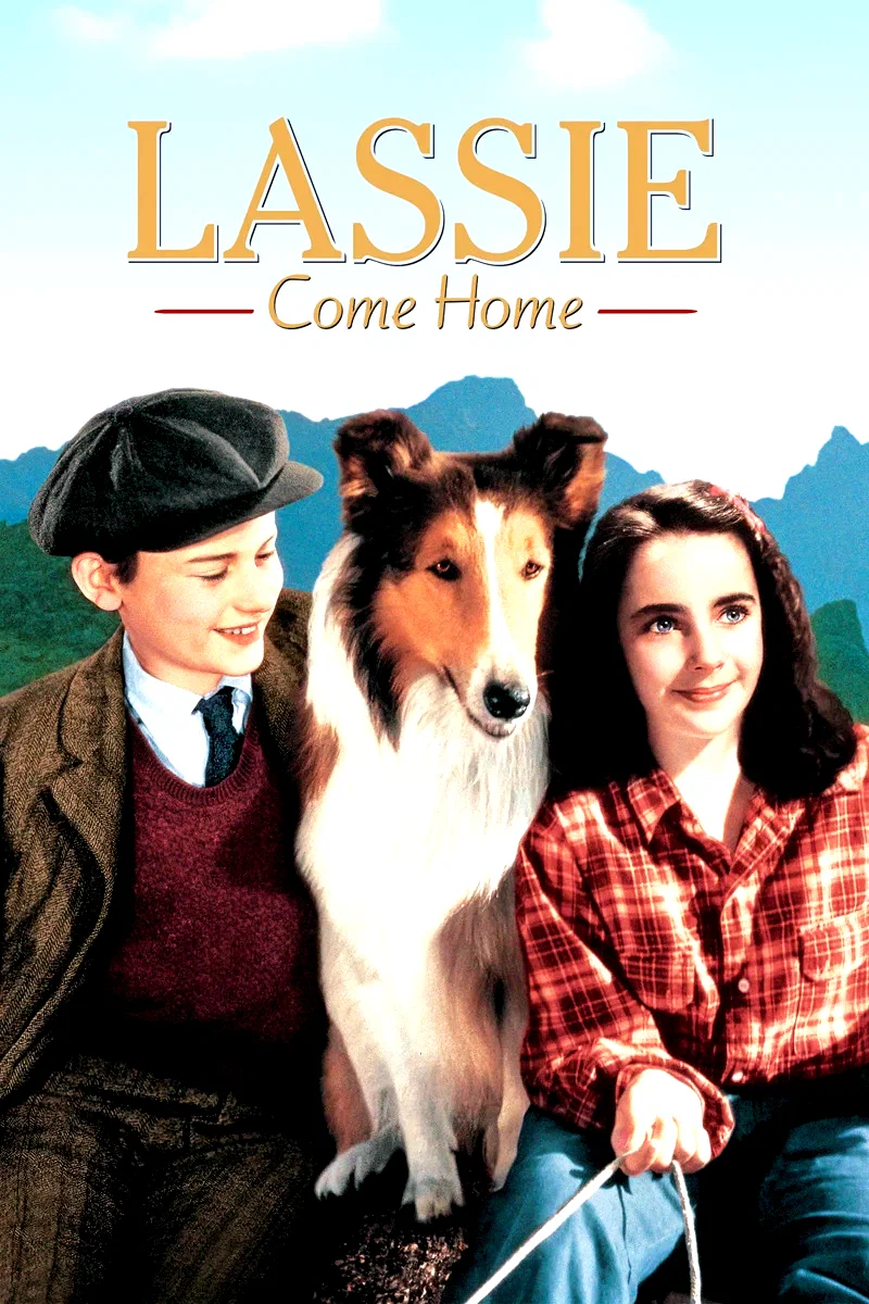 Affiche du film : Fidele lassie