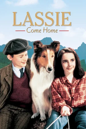 Affiche du film : Fidele lassie