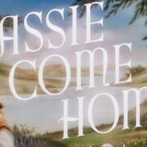 Photo du film : Fidele lassie