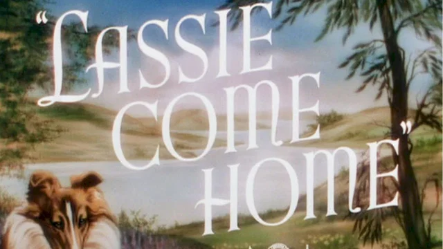 Photo du film : Fidele lassie