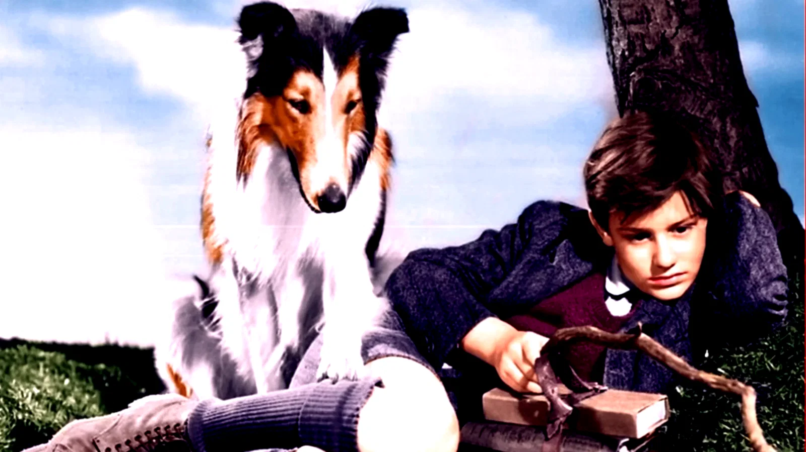 Photo 4 du film : Fidele lassie
