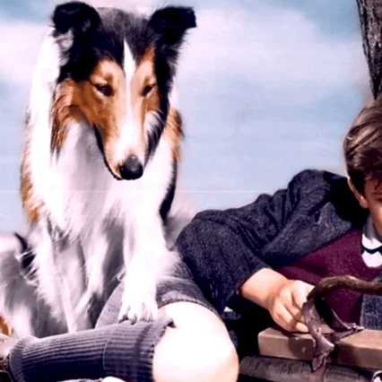 Miniature photo du film : Fidele lassie
