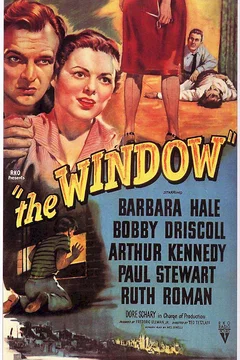 Affiche du film Une incroyable histoire