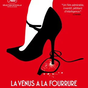 Photo du film : La Venus à la fourrure 
