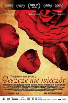 Affiche du film Before twilight