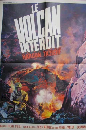 Affiche du film : Le volcan interdit