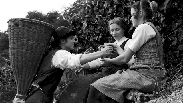 Affiche du film : Heimat 1 : Chronique d'un rêve