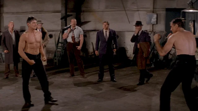 Photo du film : Le bagarreur