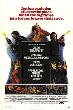 Affiche du film Les demolisseurs