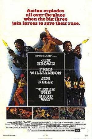 Affiche du film : Les demolisseurs