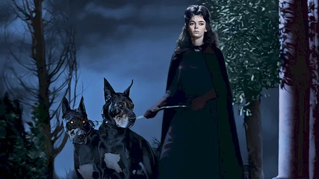 Photo 4 du film : Le masque du demon