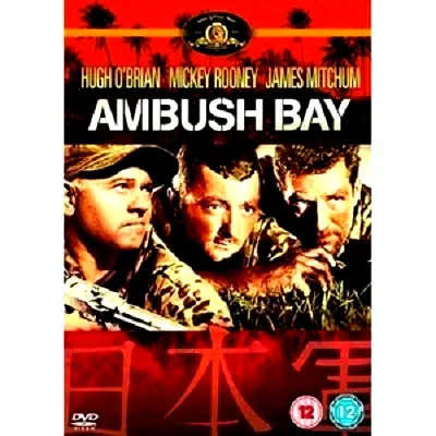 Affiche du film : La baie du guet apens
