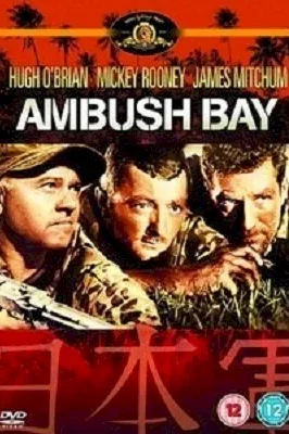 Affiche du film : La baie du guet apens