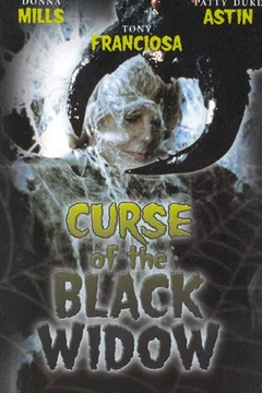 Affiche du film La veuve noire