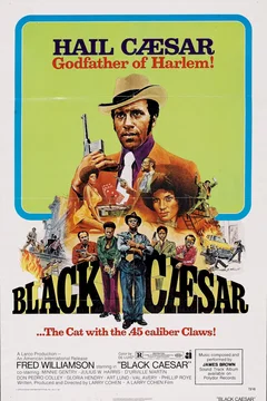 Affiche du film Le Parrain de Harlem