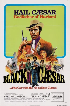 Affiche du film : Le Parrain de Harlem
