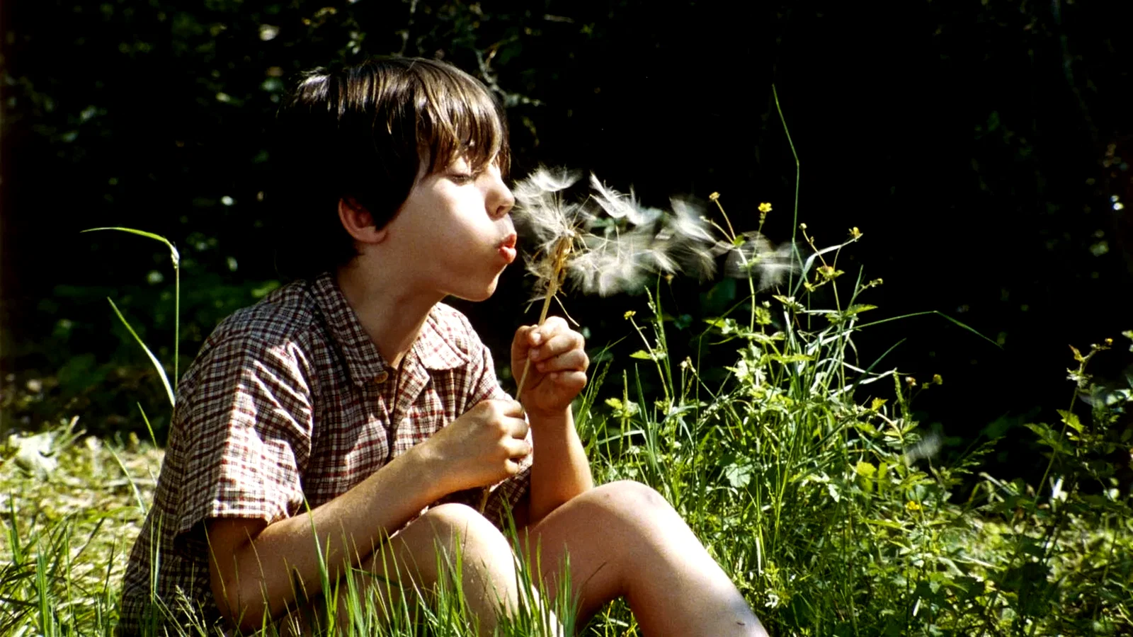 Photo 5 du film : La Clé des champs