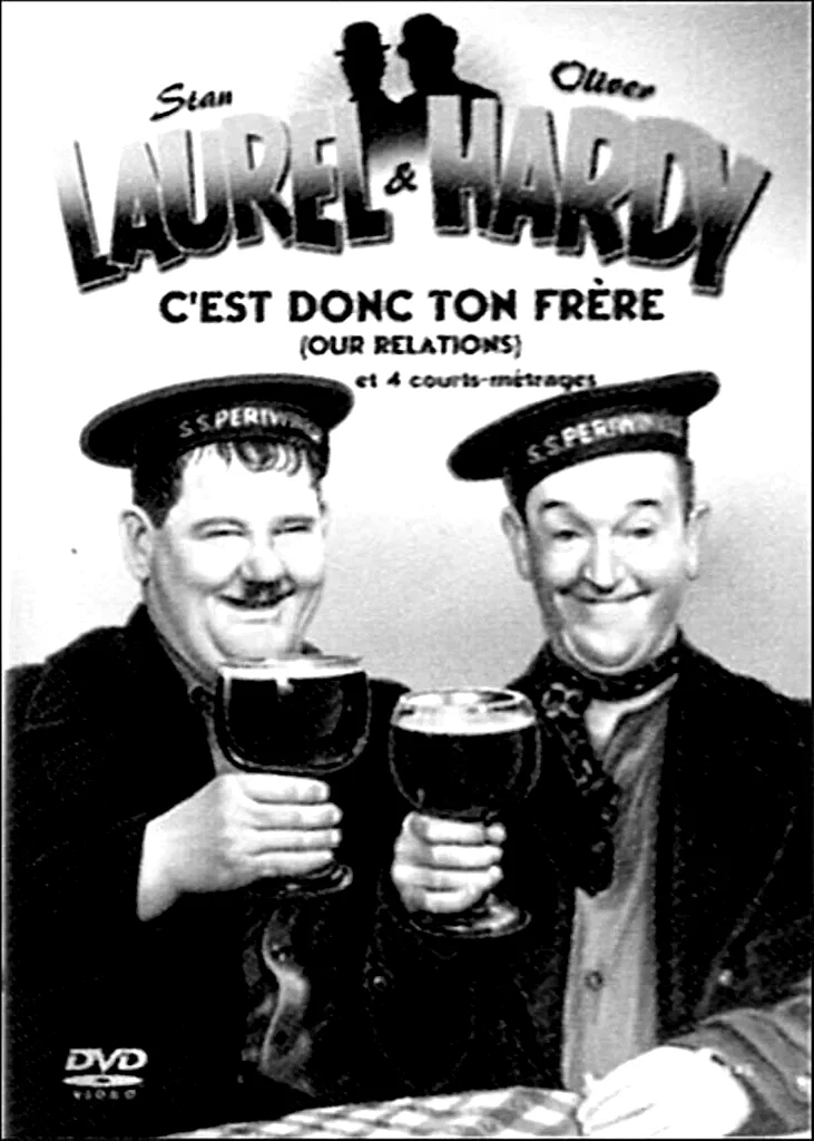 Affiche du film : C'est donc ton frère !