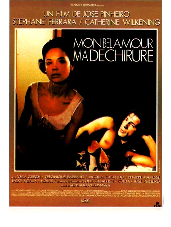 Affiche du film : Mon bel amour ma dechirure