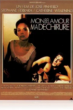 Affiche du film Mon bel amour ma dechirure