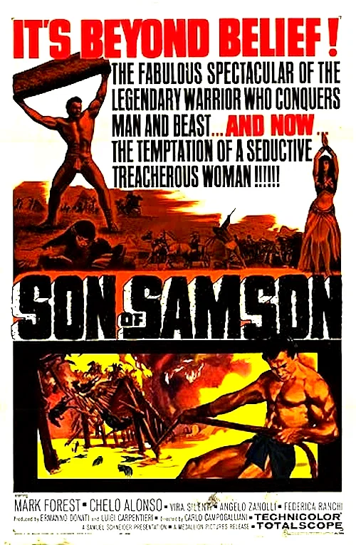 Affiche du film : Le geant de la vallee des rois