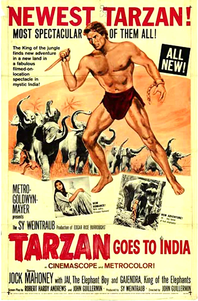 Affiche du film : Tarzan aux indes