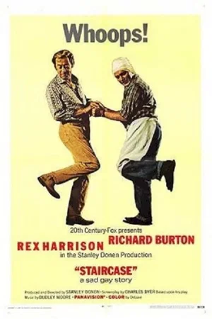 Affiche du film : L'escalier
