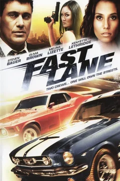 Affiche du film L'Âne