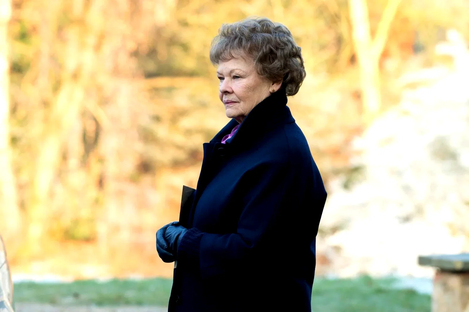 Photo 12 du film : Philomena