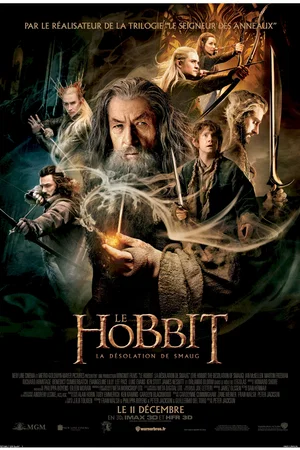 Photo du film : Le Hobbit : la Désolation de Smaug 