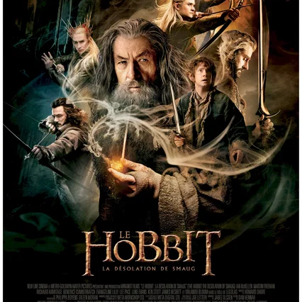 Miniature photo du film : Le Hobbit : la Désolation de Smaug 