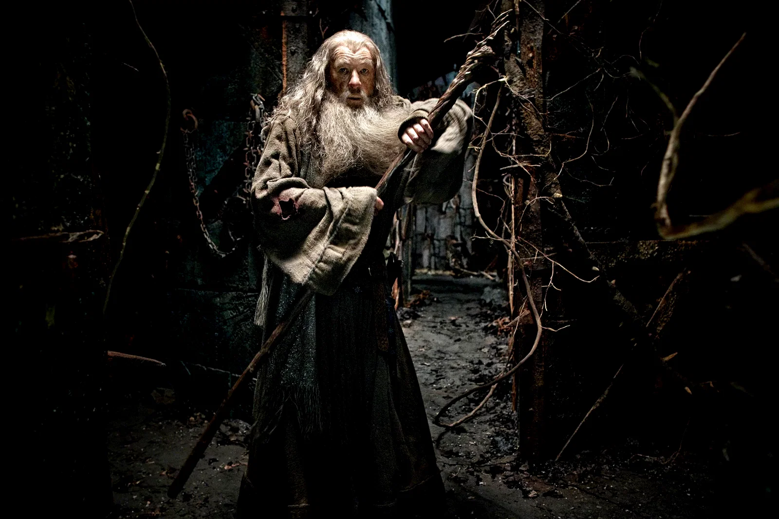 Photo 17 du film : Le Hobbit : la Désolation de Smaug 