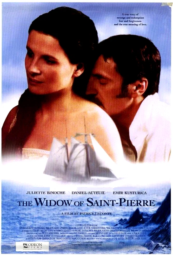 Affiche du film : La veuve