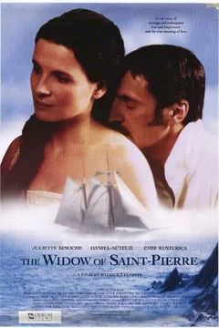 Affiche du film La veuve