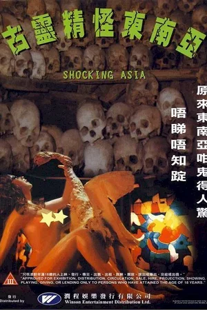 Affiche du film : Shocking asia