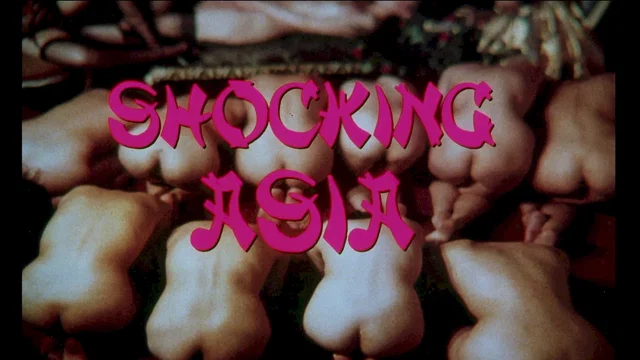 Photo 2 du film : Shocking asia