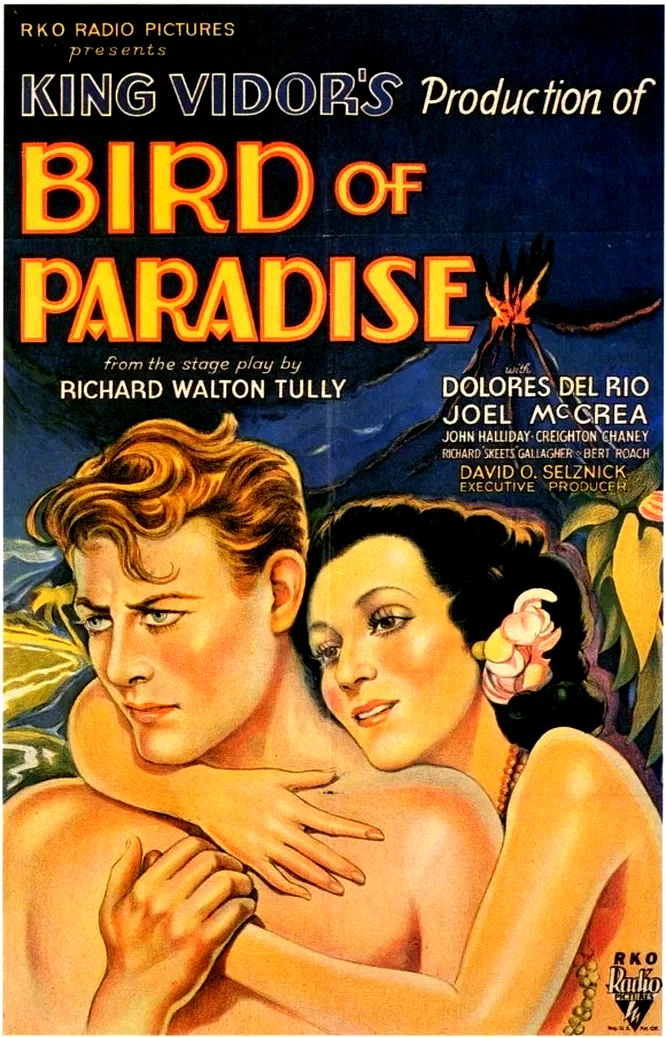 Affiche du film : L'oiseau de paradis