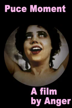 Affiche du film Puce moment