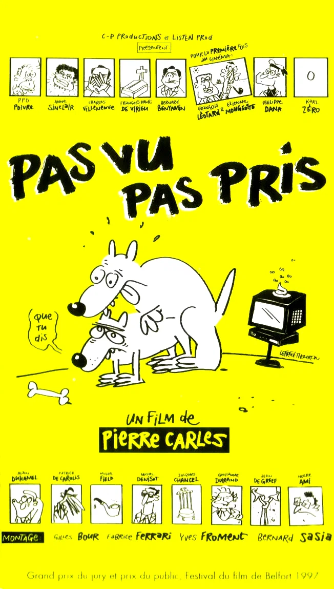 Affiche du film : Pas vu pas pris