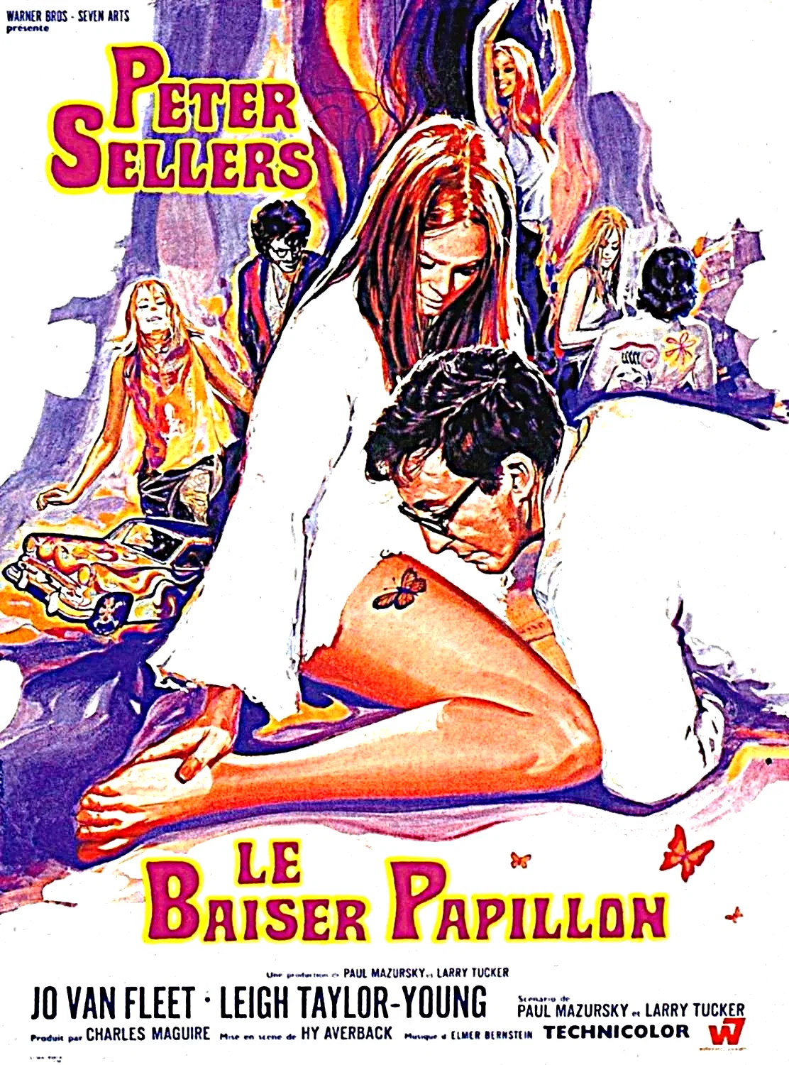 Affiche du film : Le baiser papillon