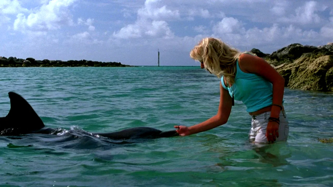 Photo 2 du film : Les dauphins