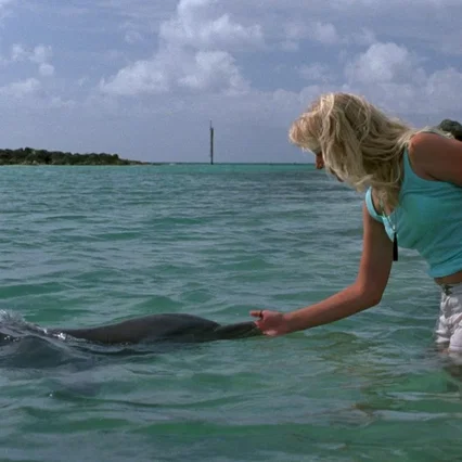 Miniature photo du film : Les dauphins