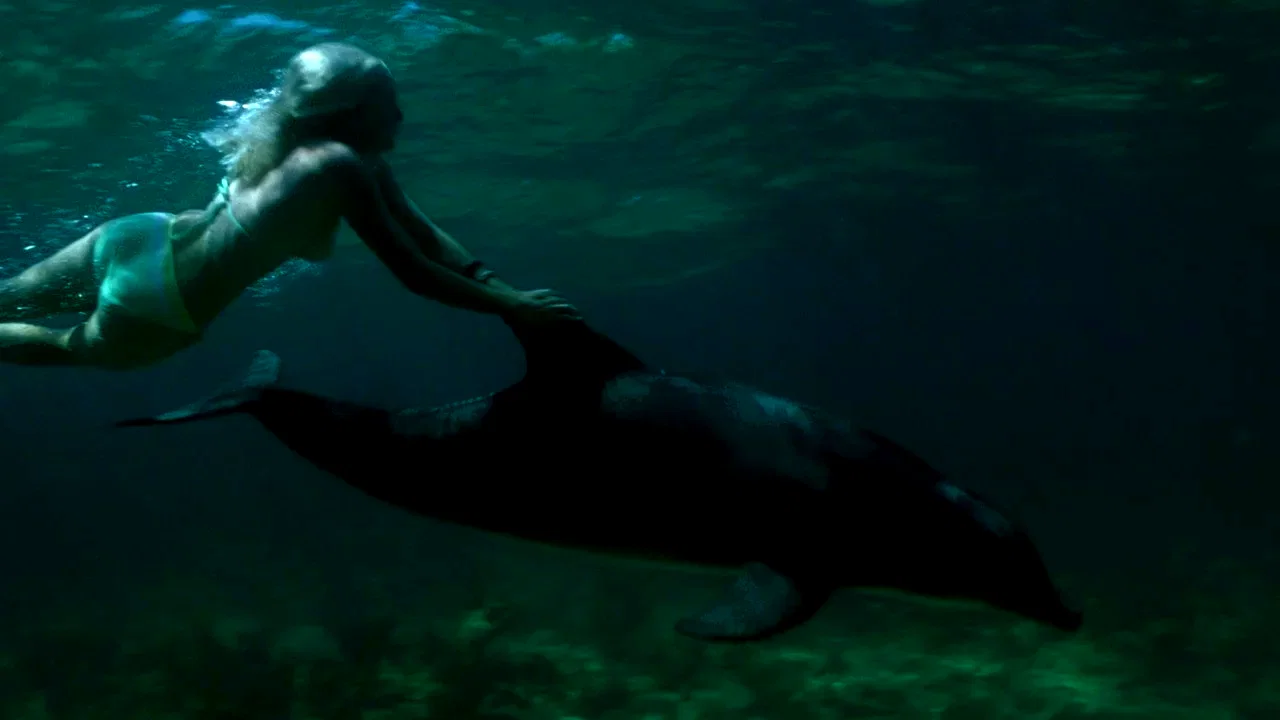 Photo 3 du film : Les dauphins