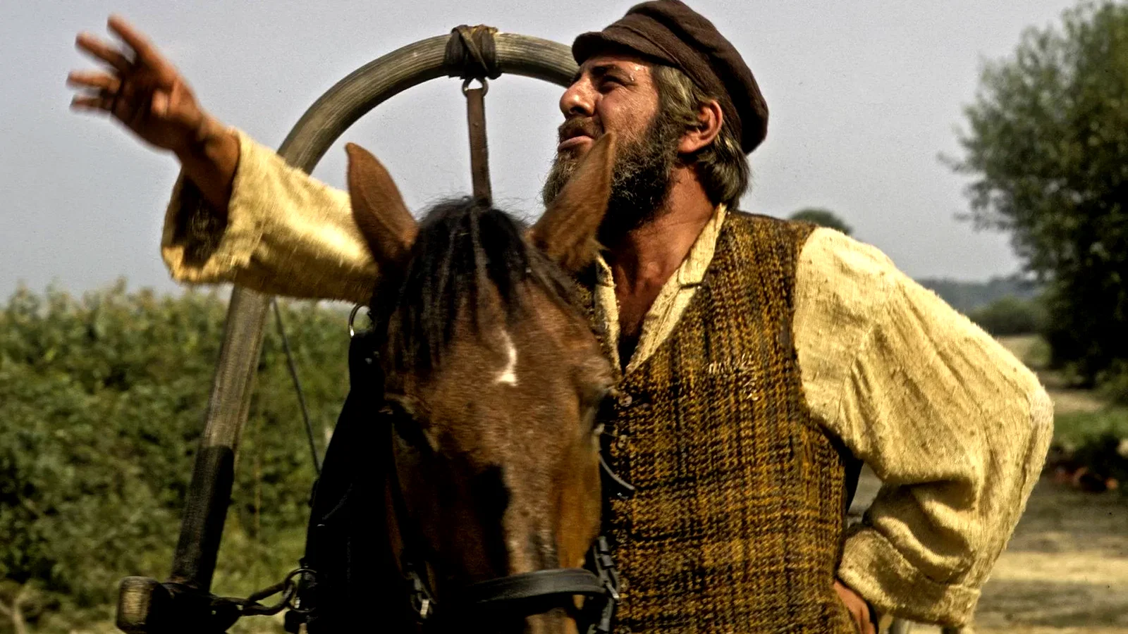 Photo 3 du film : Le toit
